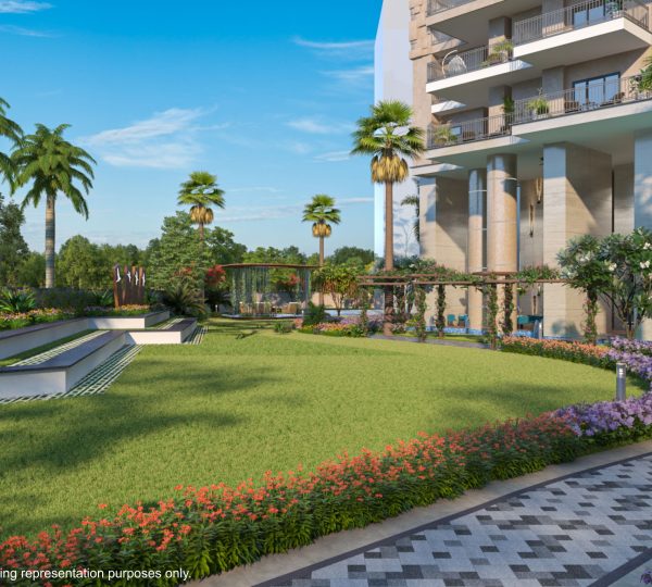 Amphitheater Area 